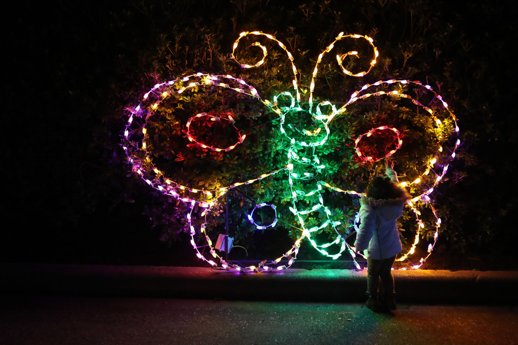 MG Festival of Lights